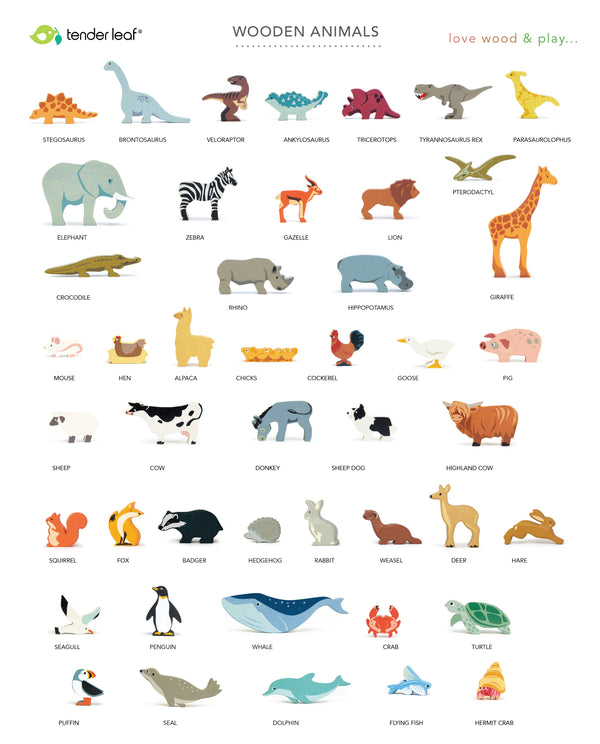 Our wonderful animal collection