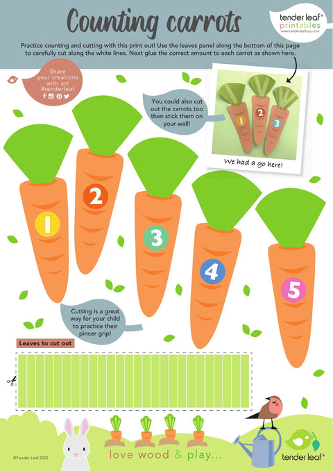 Counting Carrots Offer